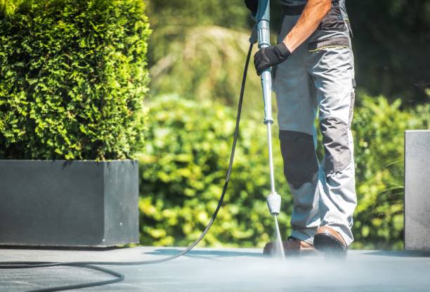 Best Solar Panel Cleaning  in Virginia, MN
